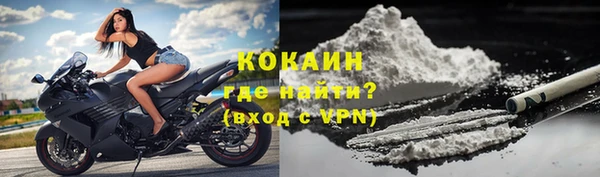 стафф Аркадак