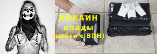 стафф Аркадак