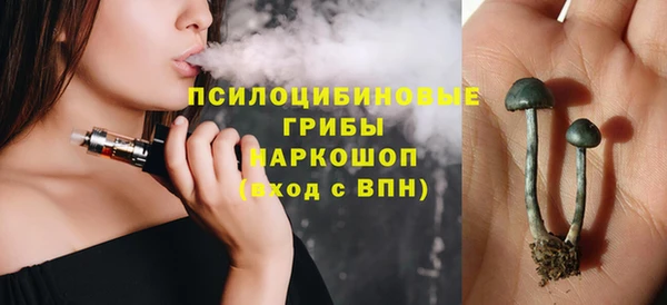 стафф Аркадак
