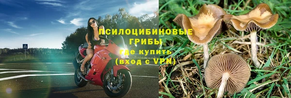 стафф Аркадак