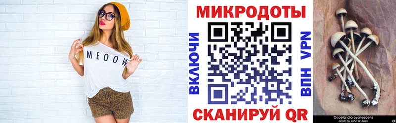 Псилоцибиновые грибы Psilocybine cubensis  сколько стоит  Уварово 